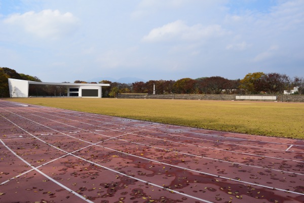 Chuseong Stadium - Damyang