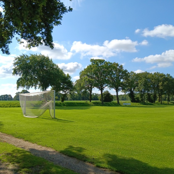 Vechte-Platz - Esche
