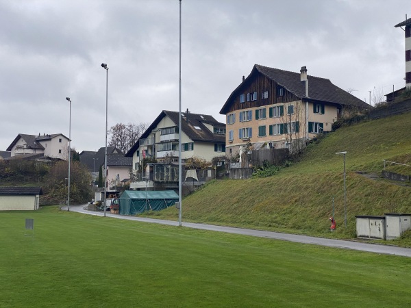 Sportplatz Baumann Federn - Ermenswil
