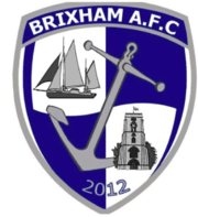 Wappen Brixham AFC  86566