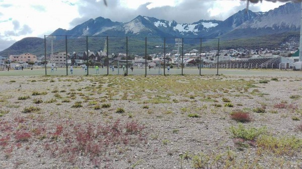 Estadio Municipal Hugo Lumbreras - Ushuaia