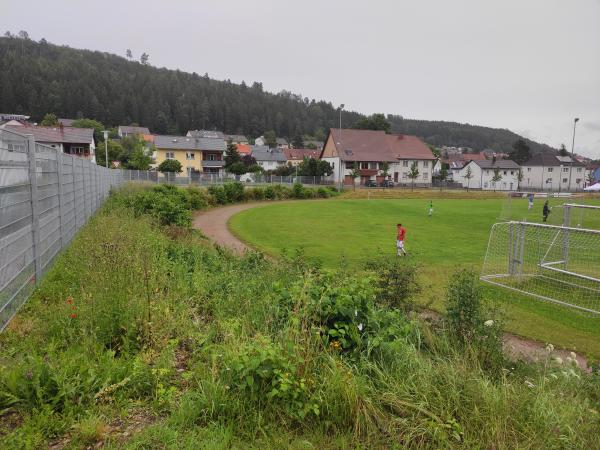 Sportplatz an der Donauhalle - Immendingen