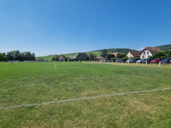 Stade des Vignerons - Pfaffenheim