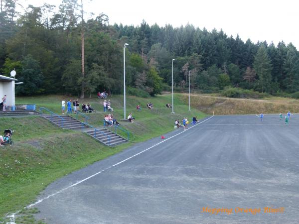 Waldsportplatz am Tierpark - Herborn-Uckersdorf
