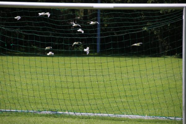 Sportplatz am Mittelpunkt - Blomberg/Ostfriesland-Neuschoo