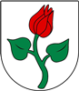 Wappen TJ Družstevník Hontianske Trsťany  126609