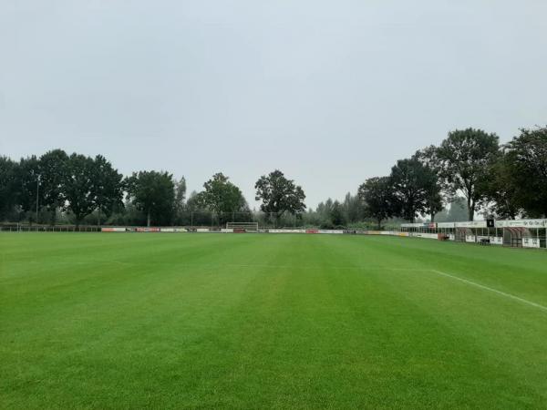 Sportpark Molenzicht veld 2 - West Betuwe-Beesd