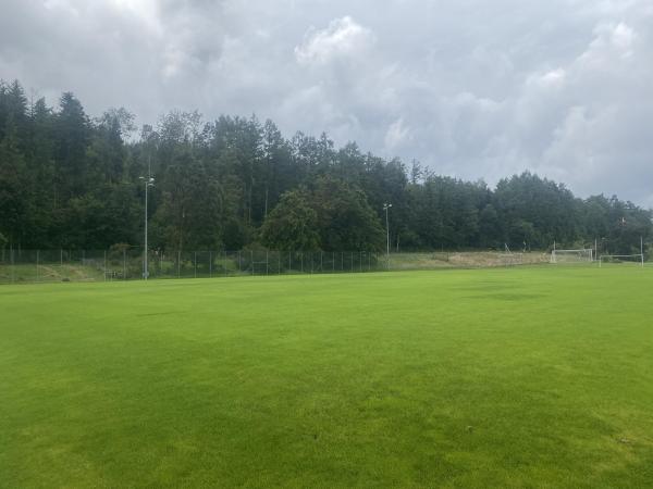 Sportanlage Buchlern Platz 8 - Zürich