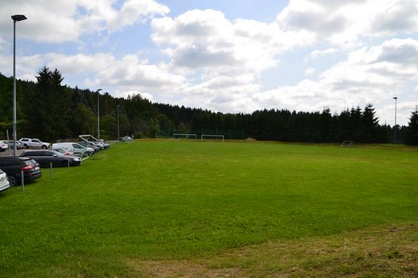 Sportanlage Am Fronberg Platz 2 - Treuen-Schreiersgrün