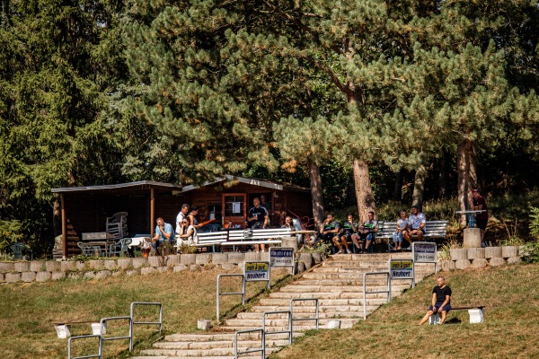 Waldstadion - Reinsdorf/Sachsen-Vielau