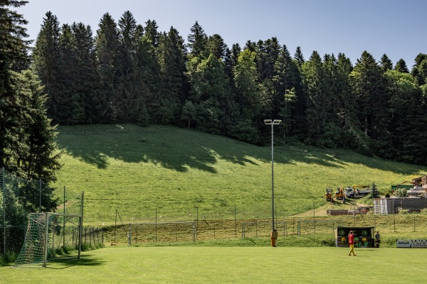 Waldstadion - Doren