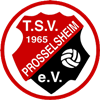 Wappen TSV Prosselsheim 1965 diverse  62784