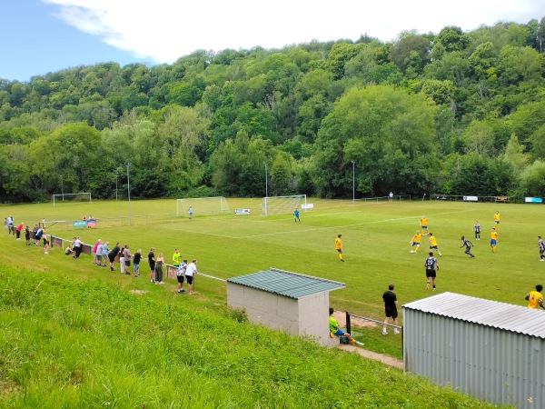 Stowfield Park - Lydbrook, Gloucestershire