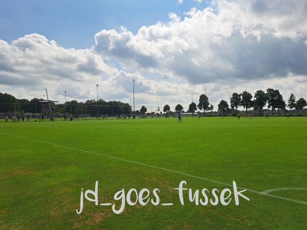 Sportpark De Wieën Veld 10 - Venray