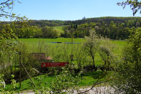 Sportplatz Biesenrode - Mansfeld-Biesenrode