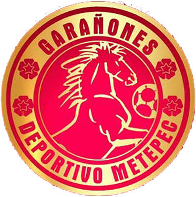 Wappen Deportivo Metepec  96214