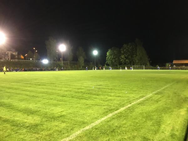 Sportanlage im Grünen Tal Platz 2 - Wiesenbach/Baden