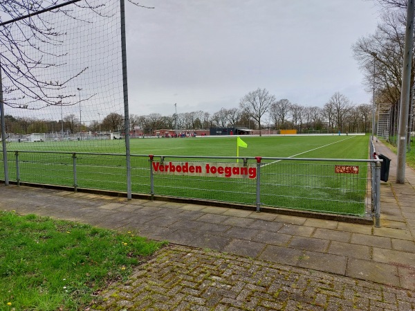 Sportpark Villekamp veld 4 - Aalten