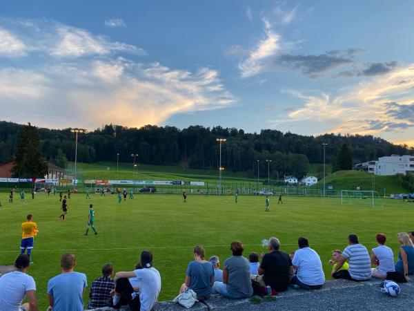 Sportplatz Laupenstrasse - Wald ZH