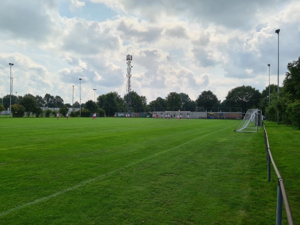 Sportpark De Bosk veld 7-HO - Achtkarspelen-Harkema