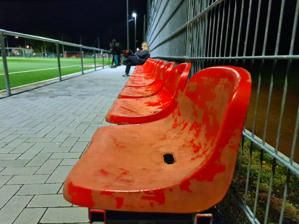 Sportanlage Teichstraße Platz 2 - Leipzig-Connewitz