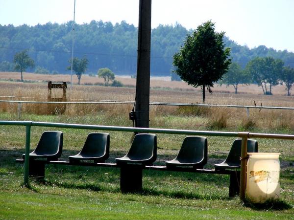 Sportplatz Friedrich-Ludwig-Jahn-Straße - Dahlen/Sachsen-Börln