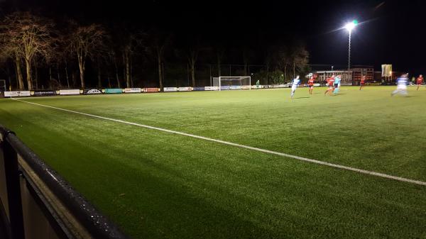 Sportpark De Buitenham - Oude IJsselstreek-Varsselder