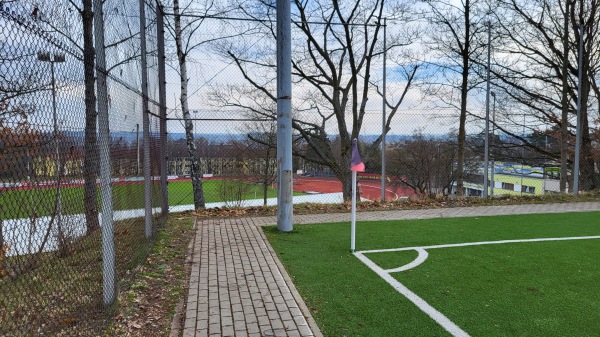 Städtisches Stadion Ossecker Straße Nebenplatz - Hof/Saale