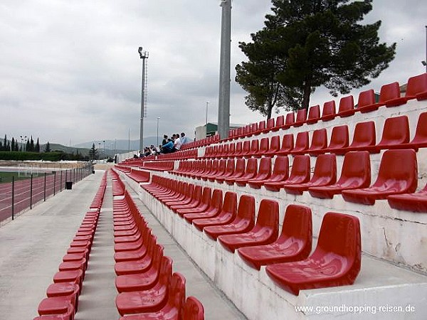 Estadio Municipal La Victoria - Pinos Puente, AN