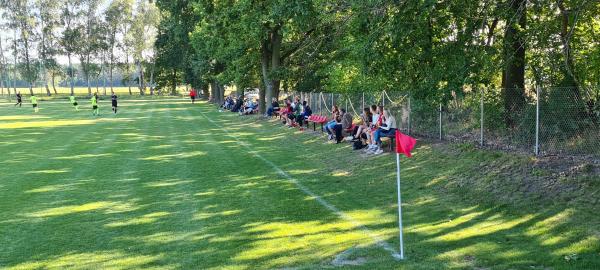 Boisko w Radoszyn - Radoszyn