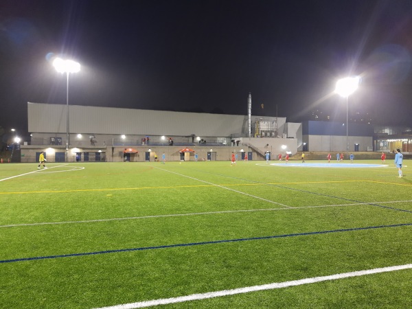 Trasolini Field - Port Moody, BC