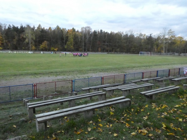 Stadion Miejski w Gozdnicy - Gozdnica