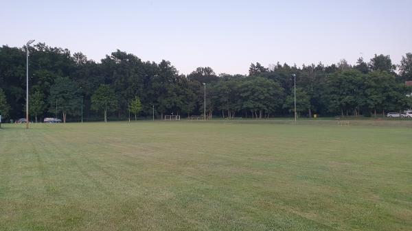 Parkarena Eintracht Nebenplatz - Märkische Heide-Wittmannsdorf