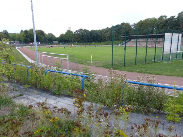 Stand Ende August 2019: Übelst verwildert!