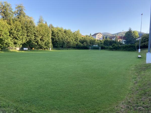 Sportplatz Hasel 2 - Hasel/Baden