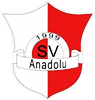 Wappen SV Anadolu Lauda 1999  35653