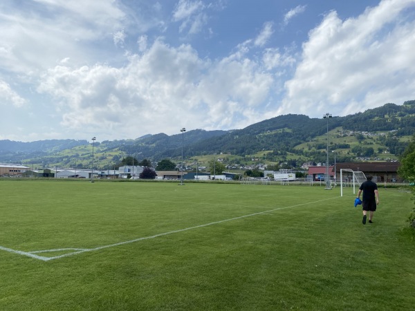Sportplatz Birkenau Platz 3 - Rebstein