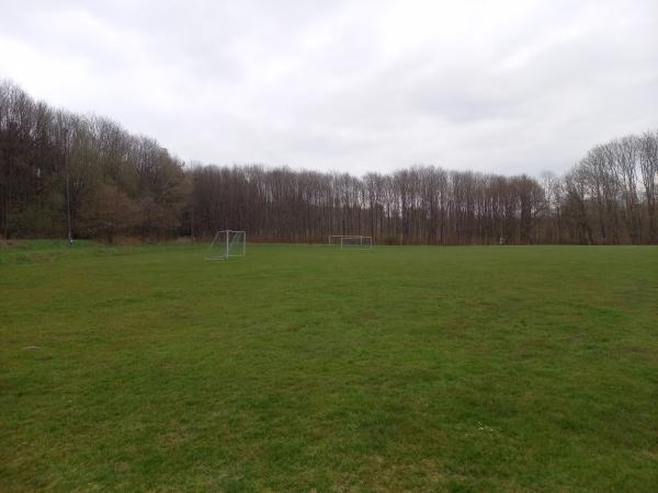 Sportplatz im Wald - Gemünden/Westerwald