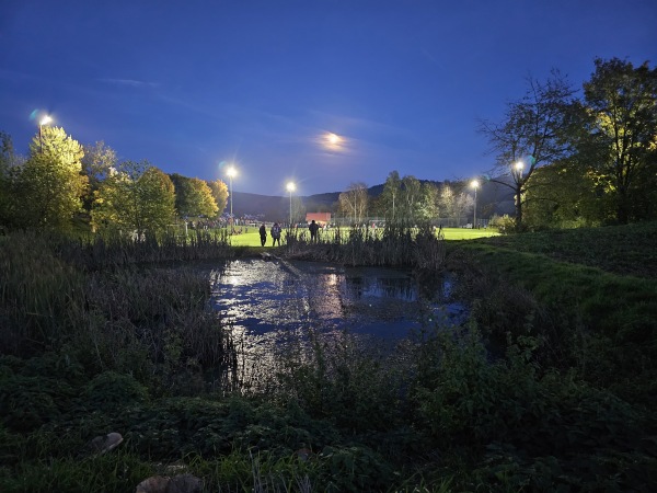 Sportplatz am Freibad - Freudenberg/Oberpfalz