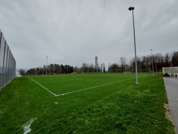 Sportplatz Allmend Platz B - Horgen