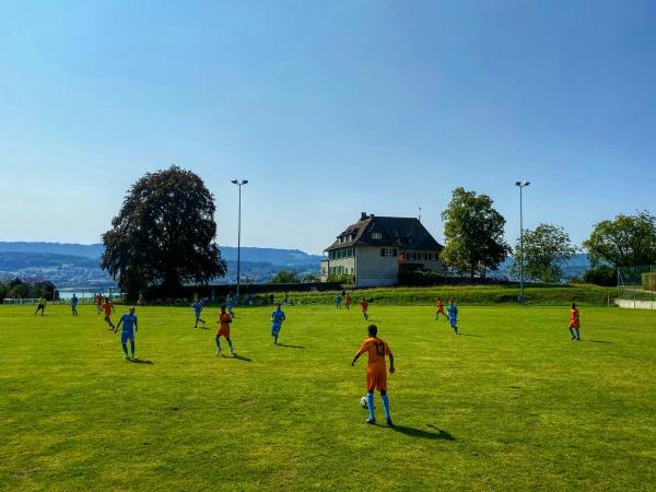 Sportplatz Sonnenfeld - Erlenbach