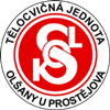 Wappen TJ Sokol Olšany u Prostějova  118904