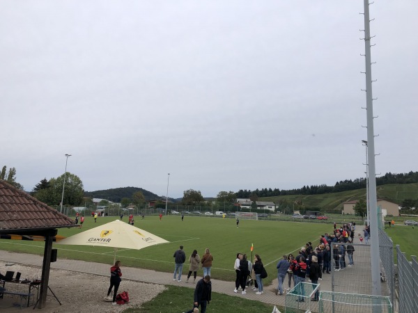 Sportanlage an der Elz Platz 2 - Waldkirch-Buchholz
