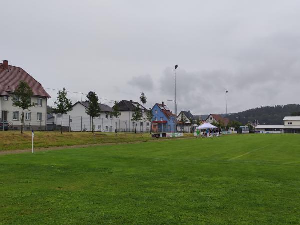 Sportplatz an der Donauhalle - Immendingen