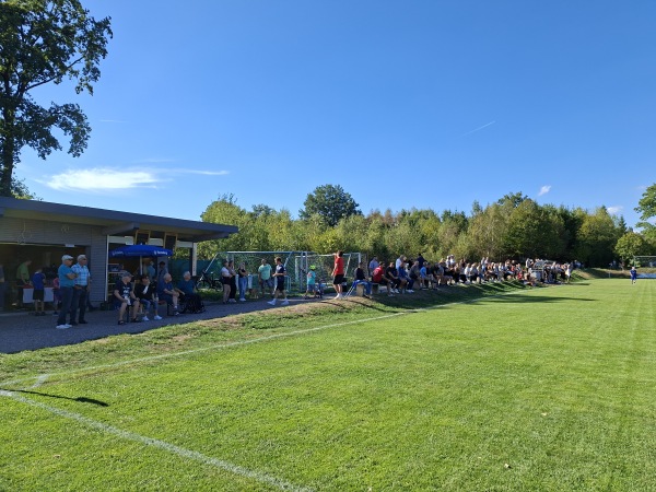 Sportanlage Fabrikstraße - Laufenburg/Baden-Binzgen