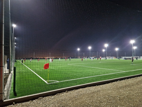 Transilvania Sport Academy - Oradea