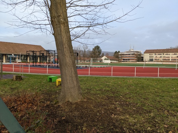 Sportplatz Hessische Hochschule für öffentliches Management und Sicherheit - Wiesbaden-Kohlheck