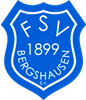 Wappen FSV Bergshausen 1899 diverse  81913