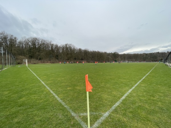 Sportpark De Pinkenberg veld 5-DVOV - Rozendaal