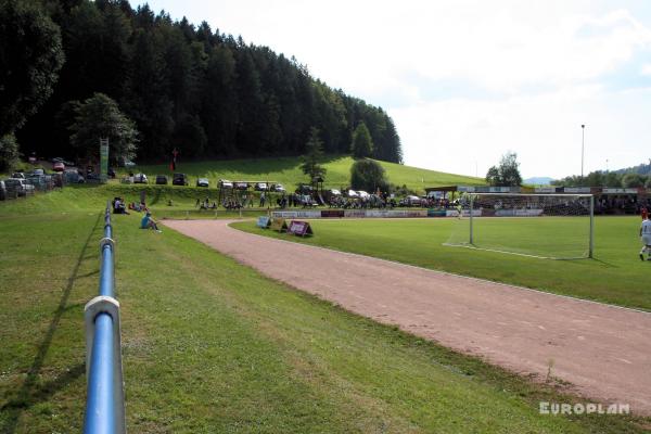 Werner-Gießler-Arena - Elzach